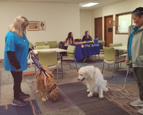 Wags-n-Wishes Therapy Dog Group